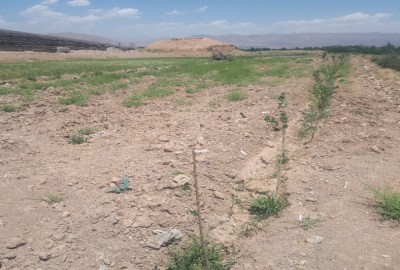 زمین باغی ۵۰۰ متری در جاده ورامین بعد از فیروزآباد