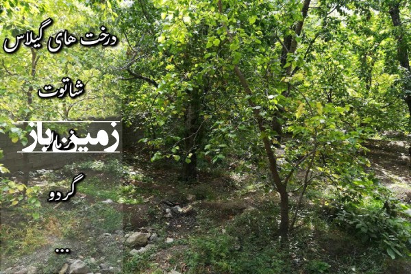 باغ در تهران با ۱۴۰۰ متر کَن سولقان روستای کشار سفلی-1