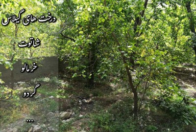 باغ در تهران با ۱۴۰۰ متر کَن سولقان روستای کشار سفلی