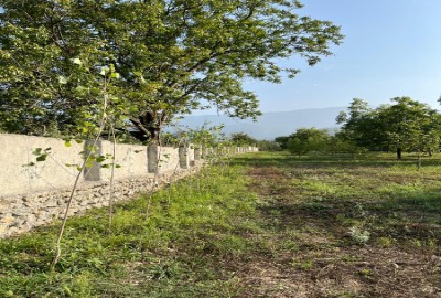 زمین باغی ۱۰۰۰ متر در گلستان کردکوی بالاجاده