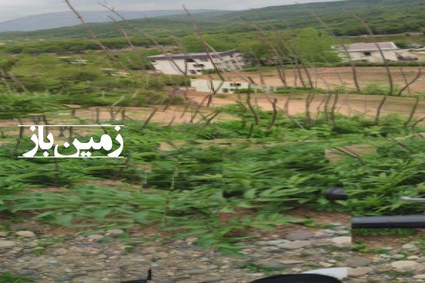 فروش زمین تجاری مسکونی گیلان ۲۵۰ متر رستم آباد روستای حلیمه جان-3