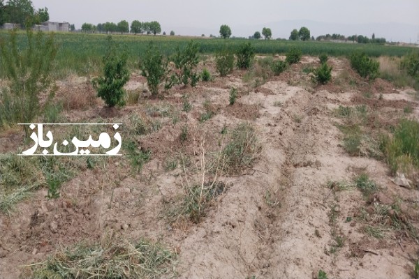 زمین در پاکدشت پلیس راه شریف آباد 1700 متر-3