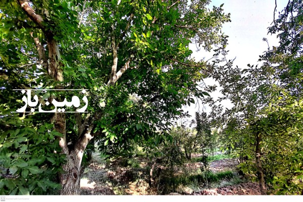 باغ میوه کرج سهیلیه روستای رامجین 500 متر-1