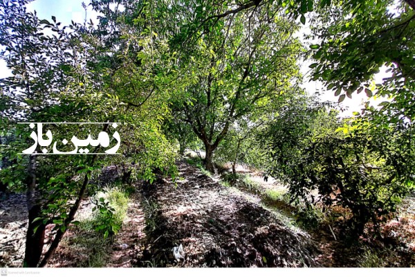 باغ میوه کرج سهیلیه روستای رامجین 500 متر-2