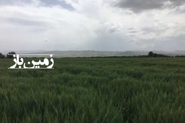 زمین کشاورزی 4 هکتار روستای میان ولان سفلی الشتر-4
