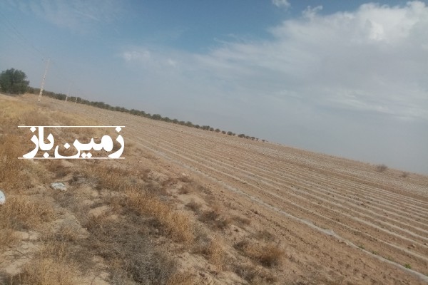 زمین کشاورزی 10 هکتار حاجی آباد بندر عباس روستا سیدجوزر-3