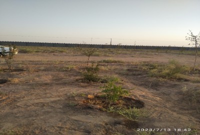زمین کشاورزی 700 متر پیشوا جلیل آباد جاده محمودآباد به شوره