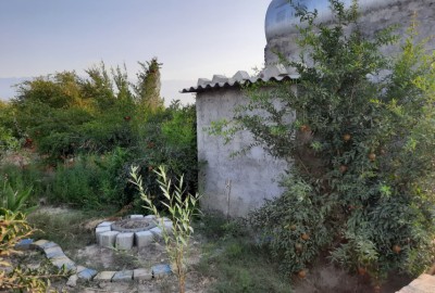 باغ 8000 متری انار روستای درود محله گرگان