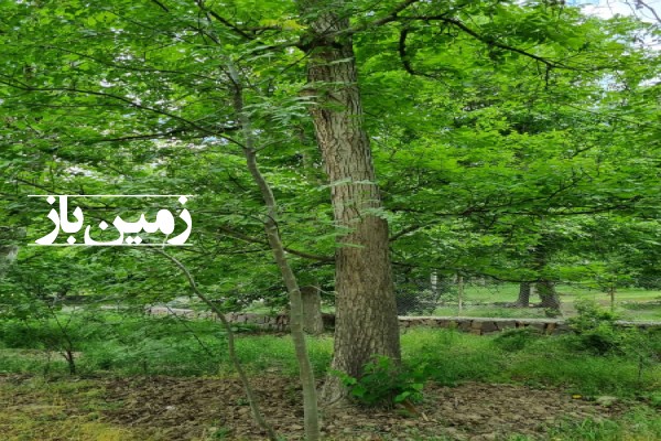 باغ گردو روستای موین سيمين دشت فیروزکوه 650 متر-2