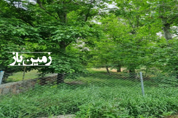 باغ گردو روستای موین سيمين دشت فیروزکوه 650 متر-3