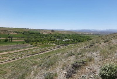 زمین کشاورزی ۵۰۰ متر در گلبهار مشهد