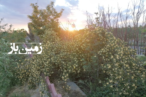 فروش زمین باغ در تهران 3000 متر شهریار جنب خادم آباد روستای بالابان-1