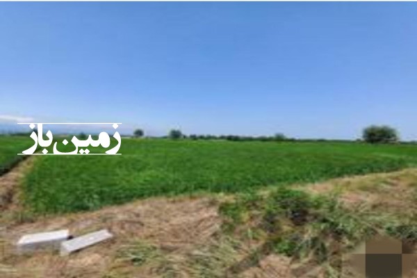 زمین کشاورزی 10 کیلومتری اصفهان جاده شالوا-2