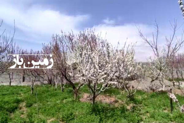باغ میوه ۳ بر 6856 متر حسن آباد چندار بلوار امام-4