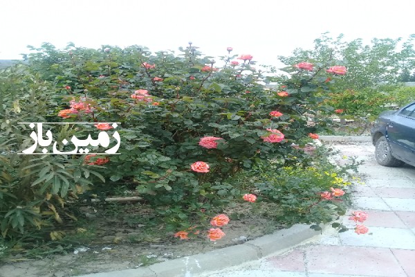 باغ درصفادشت ملارد 820 متر زمین-1