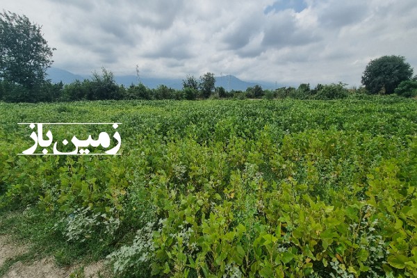 زمین با مجوزات آب معدنی 10500 متر مرز گلستان و مازندران-4
