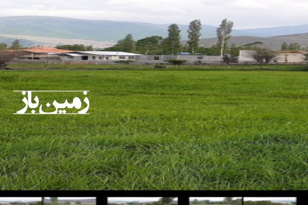 فروش زمین در شمال 600 متر روستای دشت ناز کجور نوشهر-2