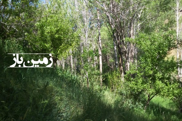 باغ جاده طالقان بعد از روستای ابراهیم آباد 6000 متر-1