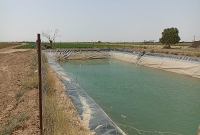 زمین کشاورزی روستای قره قباد آبیک قزوین 60000 متر