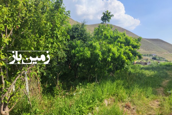 باغچه در پردیس واصفجان تهران 980 متر زمین-3
