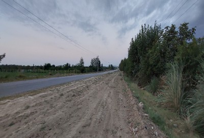 زمین کشاورزی ۵۰۰۰ متر جاده قدیم گرگان کردکوی
