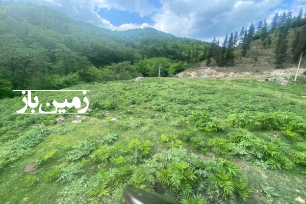 زمین مسکونی زیراب مازندران سند تک برگ 5000 متر-1