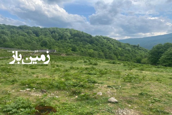 زمین مسکونی زیراب مازندران سند تک برگ 5000 متر-2