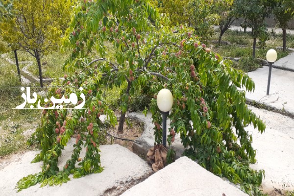 باغ در روستای شهراباد فیروزکوه 1500 متر زمین-4