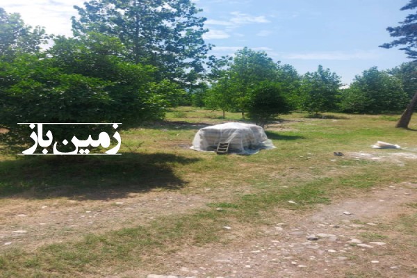 زمین در روستای پرچور جاده عباس آباد به کلاردشت 400 متر-1