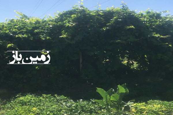 زمین کشاورزی اصفهان خیابان باغ فردوس 300 متر-3