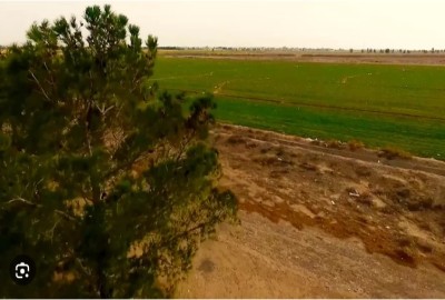 زمین کشاورزی در نزدیکی بازار مبل یافت اباد 7000 متری