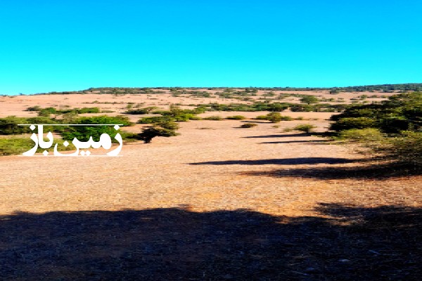 فروش زمین کشاورزی در گیلان 3814 متر رستم اباد خورگام روستای طالکوه-1