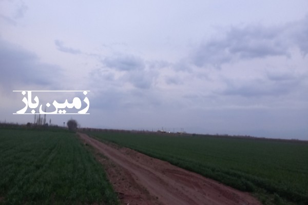 زمین کشاورزی قزوین روستای آجربند مهدی آباد بزرگ 7500 متری-2