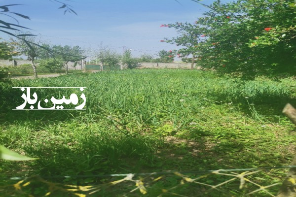 زمین مسکونی گیلان لاهیجان ناصرکیاده محله آقاسید بر 300 متر-1