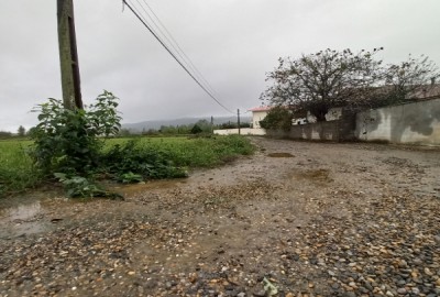 زمین روستای توتکله علیا رودسر گیلان ۱۳۴۰ متر