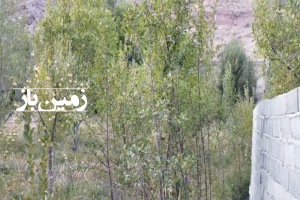 باغ جاده دماوند به فیروزکوه جاده هویر 835 متر زمین-4
