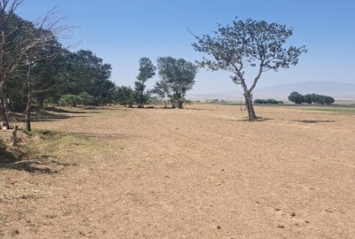 فروش زمین باغ آذربایجان شرقی ۸۰۰ متر تبریز هریس روستای سرای