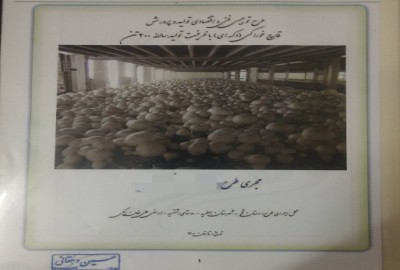 زمین کشاورزی جعفریان جاده دولت آباد بعد از اشتریه 5000 متر