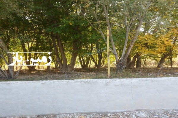 زمین باغ گردو در تنگه واشی فیروزکوه 250 متر-2