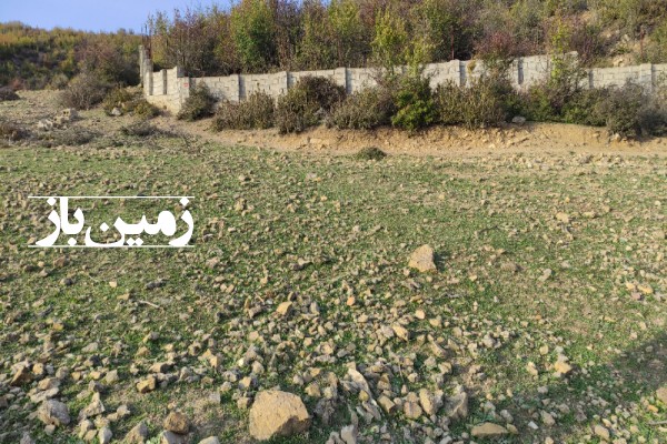 زمین مسکونی شهرک کوهدشت کیاسر روستای کوه نیم 250 متر-4