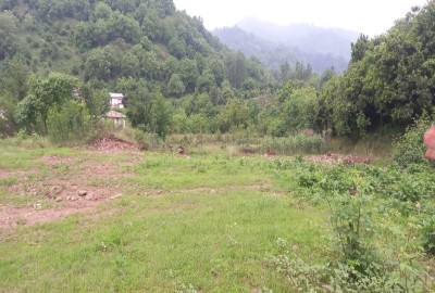 فروش زمین املش رانکوه  جیرگوابر 650 متر