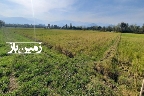 فروش زمین کشاورزی در شفت دوبخشهر 2100 متر-2