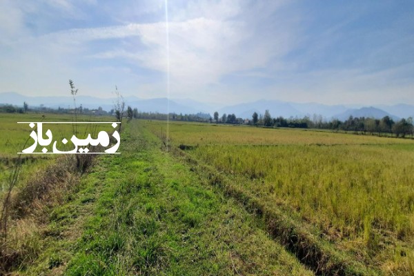 فروش زمین کشاورزی در شفت دوبخشهر 2100 متر-3