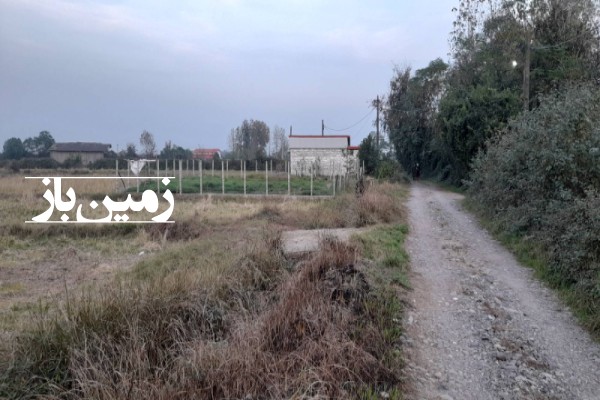 فروش زمین کشاورزی ۵۰۰۰ متر در کوچصفهان سنگر کدوسرا-1
