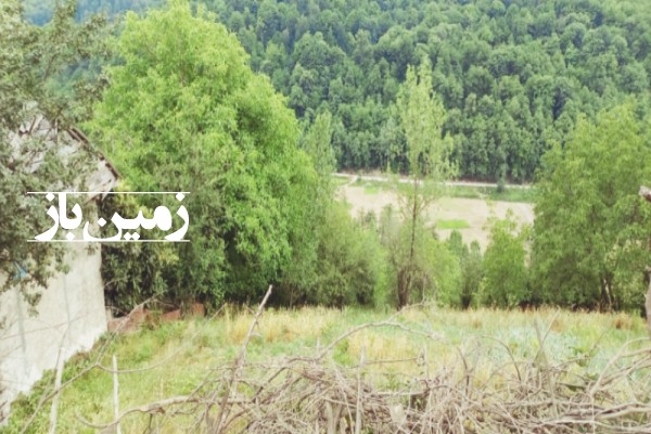 فروش زمین نکا روستای شیت 800 متر ویو ابدی-2