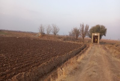 فروش زمین کشاورزی با چاه آب نظرآباد روستای صالحیه چاله گرد 25000 متر