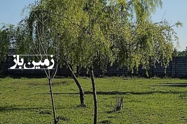 فروش زمین جاده کیاشهر روستای نبی دهگا 2000 متری-2