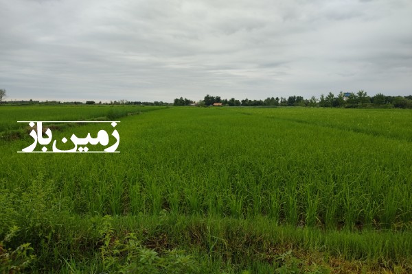 فروش زمین کشاورزی در لاهیجان میان محله گلرودبار 1540 متر-1