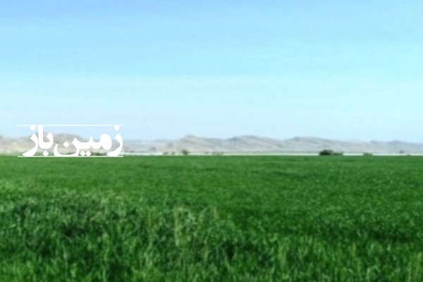 فروش زمین کشاورزی  10 هکتاری بین قم و ساوه جعفرآباد روستای کریم آباد-1