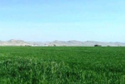فروش زمین کشاورزی  10 هکتاری بین قم و ساوه جعفرآباد روستای کریم آباد